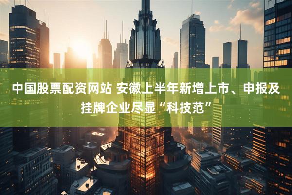 中国股票配资网站 安徽上半年新增上市、申报及挂牌企业尽显“科技范”