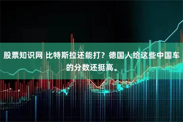 股票知识网 比特斯拉还能打？德国人给这些中国车的分数还挺高。