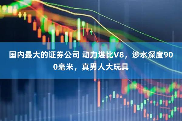国内最大的证券公司 动力堪比V8，涉水深度900毫米，真男人大玩具